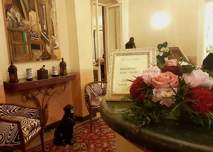 蒂兹雅娜别墅酒店 酒店 3*